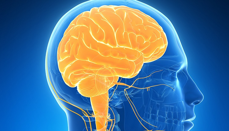 DAÑO EN CEREBRO Y PULMONES POR COVID