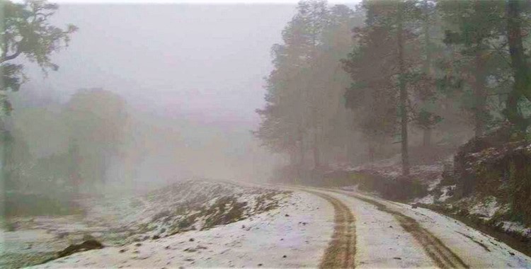 PREVÉN TEMPERATURASDE CONGELACIÓN EN ZONAS DE OAXACA