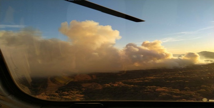 DETIENEN A SUJETO QUE INICIÓ FUEGO EN BOSQUE DE LA PRIMAVERA