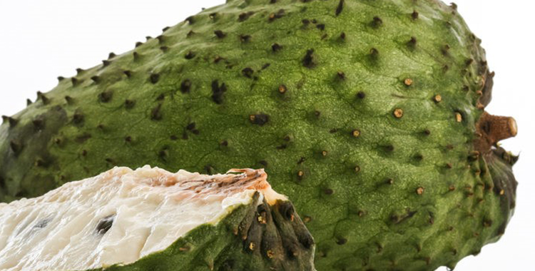 CONOCE LOS NUTRIMENTOS DE LA GUANABANA