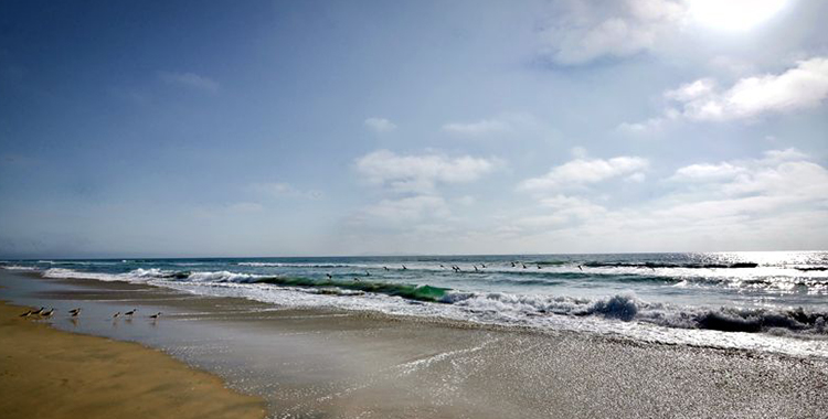 HAY EN BC DOS PLAYAS NO APTAS PARA BAÑISTAS