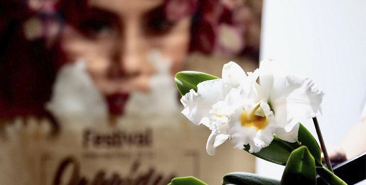 ATRACTIVOS AROMAS EN EL FESTIVAL DE LA ORQUÍDEA 2022