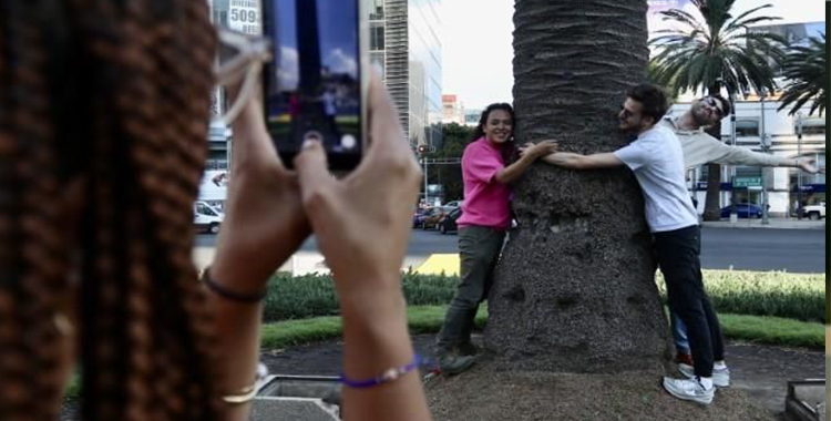 DESPIDEN LA PALMA DE REFORMA