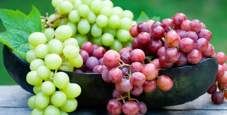 UVAS FUENTE DE ANTIOXIDANTE. CONOCE QUE OTROS BENEFICIOS TIENE