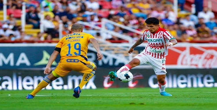 LE CAYÓ UN RAYO A TIGRES