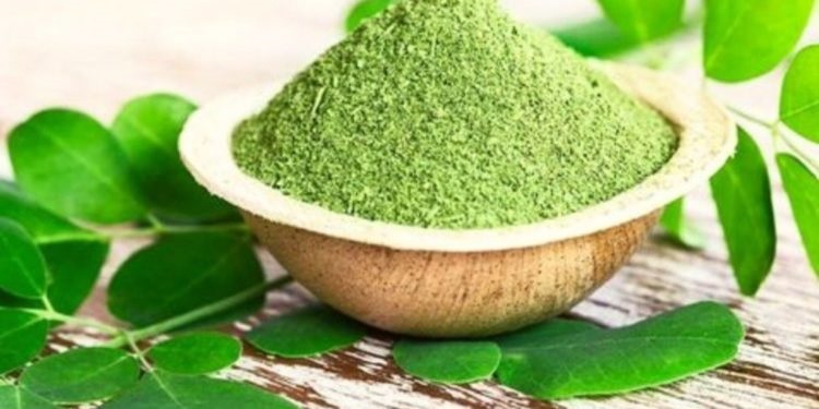 ¿PARA QUE SIRVE LA MORINGA? CONOCE TODOS SU BENEFICIOS