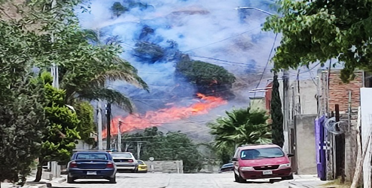 NUEVO INCENDIO EN EL BOSQUE LA PRIMAVERA, JALISCO