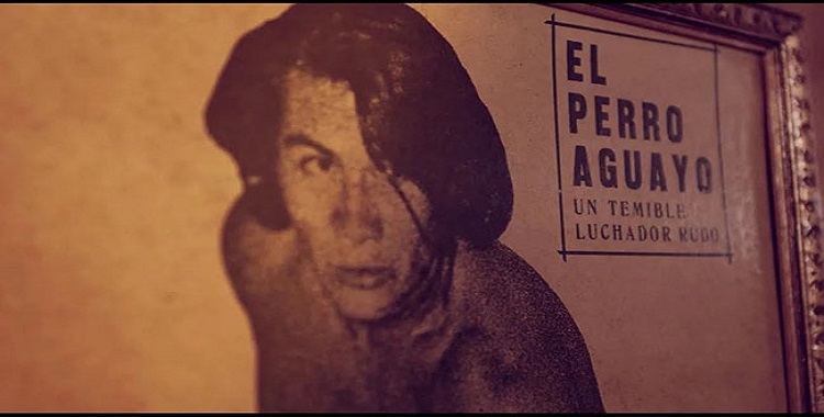 ESTRENARÁN DOCUMENTAL SOBRE EL PERRO AGUAYO