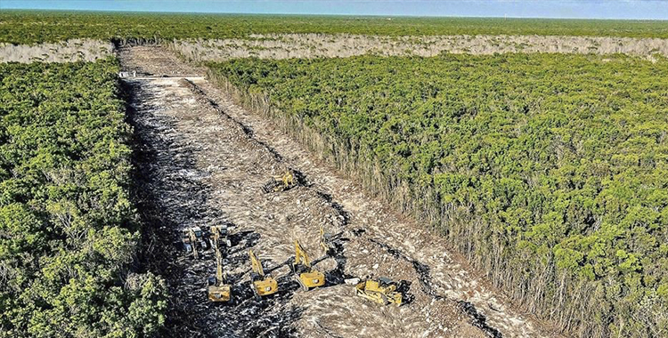 IGNORAN ORDEN DE JUEZ; SIGUEN OBRAS DEL TREN MAYA