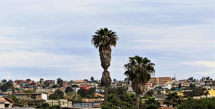 ALTAS TEMPERATURAS EN TIJUANA