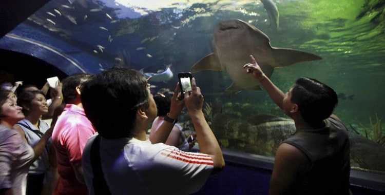 DECLARAN EXTINCIÓN DEL FIDEICOMISO DEL ACUARIO DE VERACRUZ