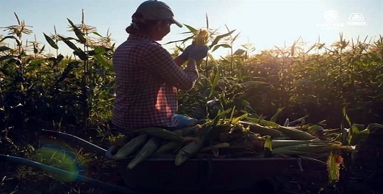 CONTINUARÁ ALZA EN LOS ALIMENTOS