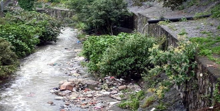 TENDRÁ RÍO TACUBAYA HUMEDALES