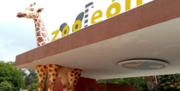 DENUNCIAN ROBO AL ZOOLÓGICO DE LEÓN