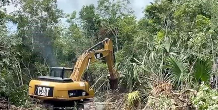 DENUNCIAN DESACATO A ORDEN QUE PROHÍBE OBRAS EN TREN MAYA