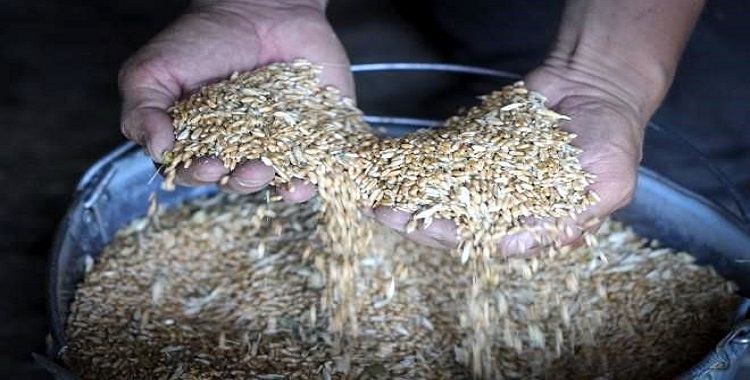 SE REUNIRÁN UCRANIA Y RUSIA PARA PACTAR EXPORTACIÓN DE GRANO