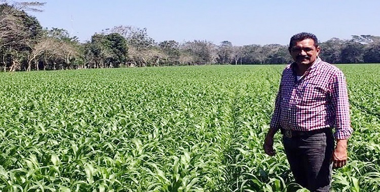 ACUSAN QUE JUEZ ATRASA SALIDA DE PASIANO RUEDA