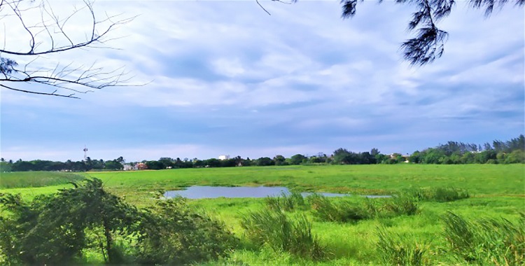 HACE FALTA DRAGADO DE LAS 18 LAGUNAS DE VERACRUZ PUERTO