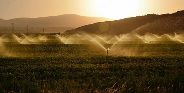 75% DEL CONSUMO DE AGUA ES DE RIEGO AGRÍCOLA