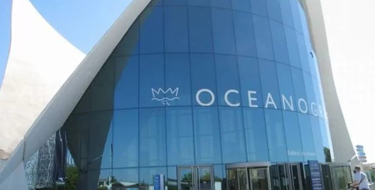 BANAMEX DEBE RESOLVER DEMANDA CON OCEANOGRAFÍA