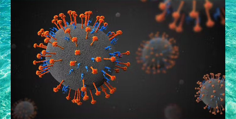 HENIPAVIRUS, ¿LA NUEVA PANDEMIA?