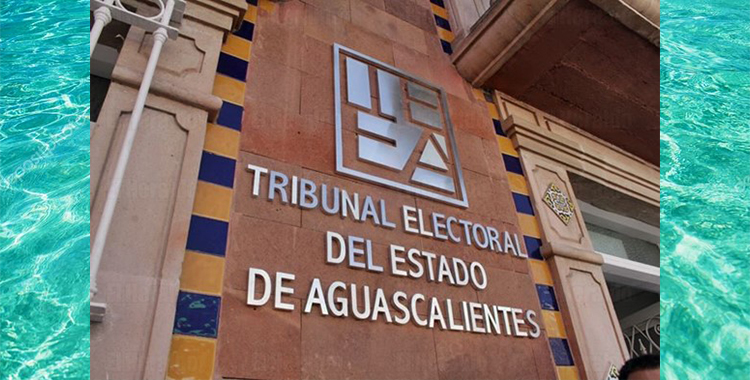 TEEA AFIRMA QUE LAS ELECCIONES FUERON VALIDAS