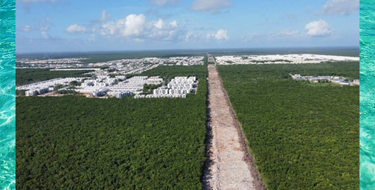 SE DESMIENTE LA SUSPENCIÓN DE PERMISO AMBIENTAL PAR TREN MAYA