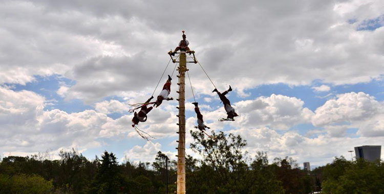 SIEMBRAN PALO VOLADOR EN EL COMPLEJO CULTURAL LOS PINOS DE CDMX