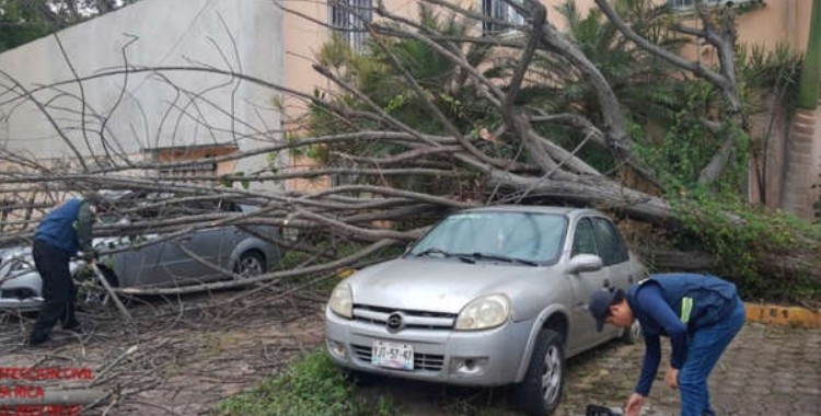 AFECTACIONES EN BOCA DEL RÍO POR FRENTE FRÍO 19