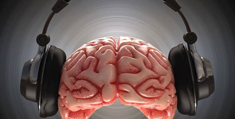 LA ESCUCHA Y PRÁCTICA MUSICAL MODIFICAN EL CEREBRO