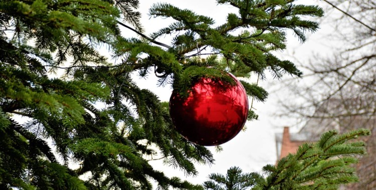 ¿SABES CUÁLES SON LOS SÍMBOLOS DE LA NAVIDAD?