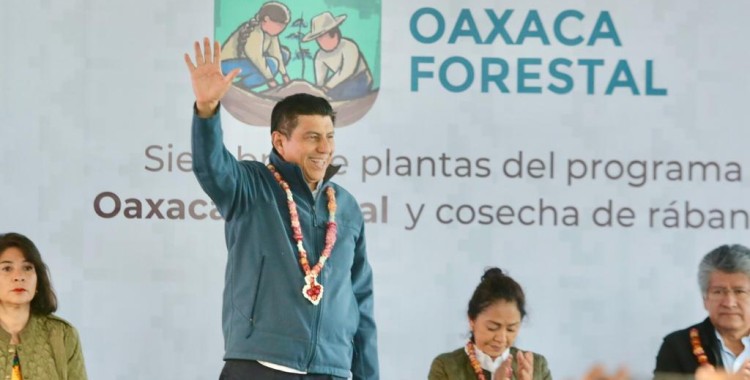 ‘OAXACA FORESTAL’, SEMBRARÁ 200 MIL HECTÁREAS DE BOSQUES