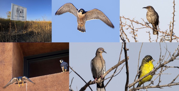 ESTABLECERÁN RESERVA ECOLÓGICA EN LA ENES LEÓN