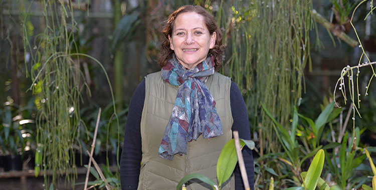 ORQUIDARIO UV, CENTRO DE INVESTIGACIÓN Y CONSERVACIÓN DE ESPECIES