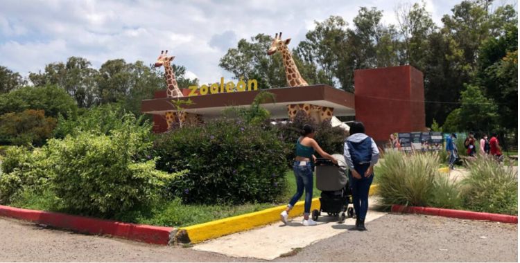 ZOOLÓGICO Y EXPLORA, LOS MÁS VISITADOS CON PASE VERDE