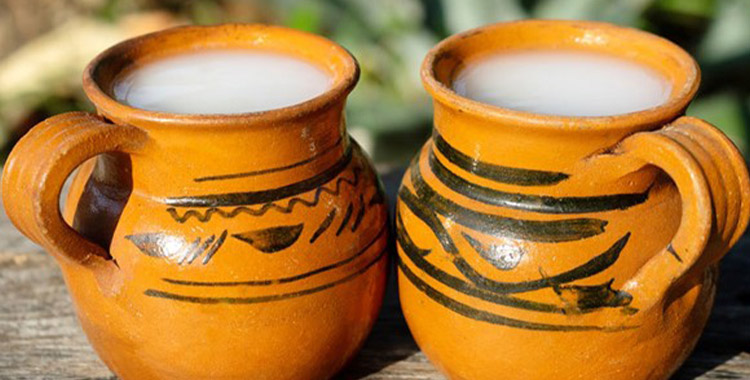 PULQUE, MÁS QUE UNA BEBIDA ALCOHÓLICA