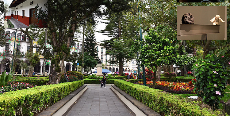 VIVE LA EXPERIENCIA DEL CAFÉ EN XALAPA