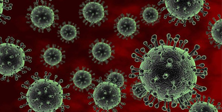 HAY QUE ESTAR ATENTO ANTE BROTES DE INFLUENZA AVIAR H5N1