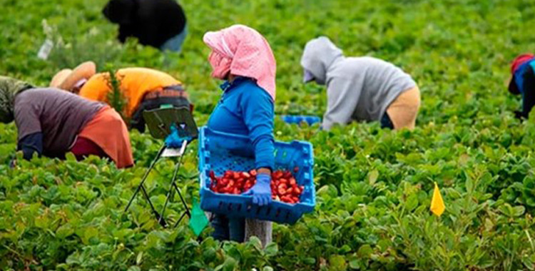 CADA VEZ MÁS MUJERES DECIDEN MIGRAR