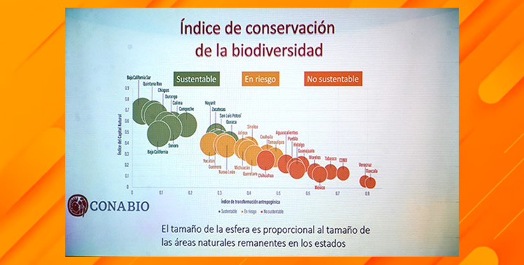 URGE LA PARTICIPACIÓN DE LA HUMANIDAD PARA REVERTIR LA CRISIS AMBIENTAL: JOSÉ SARUKHÁN