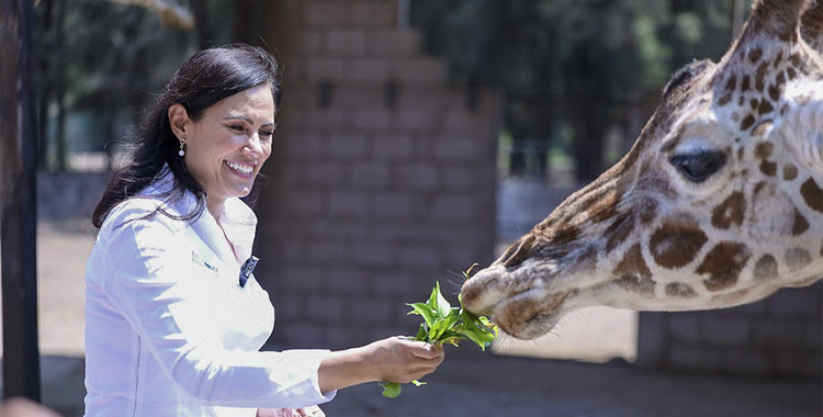 HOPE ES JIRAFA NACIDA EN CAU ZOOLÓGICO DE LEÓN