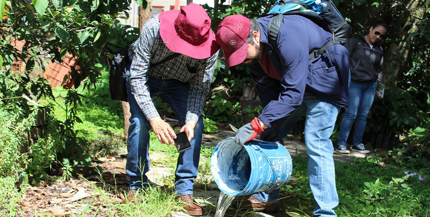 TEQUIO CONTRA EL DENGUE EN VERACRUZ