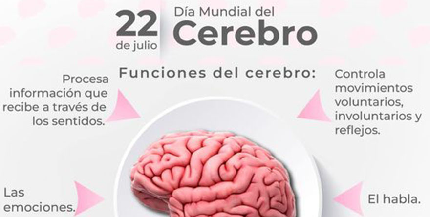 22 DE JULIO DÍA MUNDIAL DEL CEREBRO