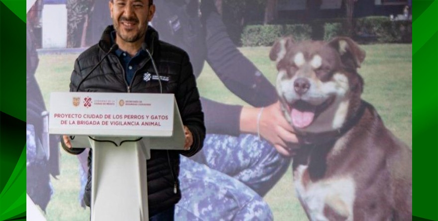 CIUDAD DE LOS PERROS Y GATOS ESTÁ EN MARCHA