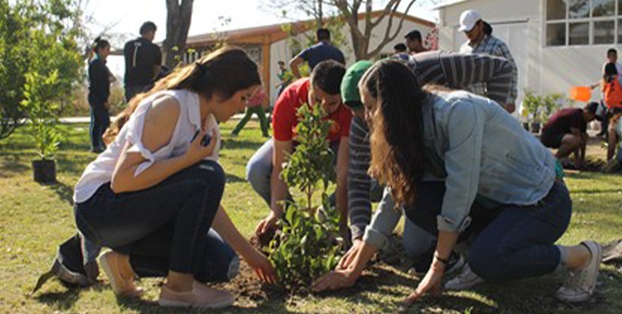 HOY CAMPAÑA DE REFORESTACIÓN MASIVA EN LEÓN