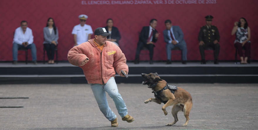 COMPAÑÍA K9 CONTRIBUYE AL DECOMISO DE NARCÓTICOS