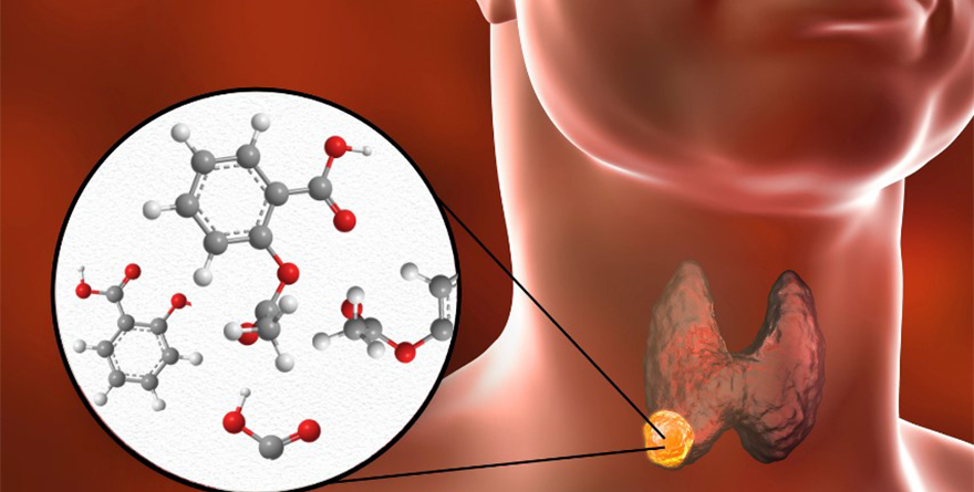 ALERTAN SOBRE DISRUPTORES HORMONALES