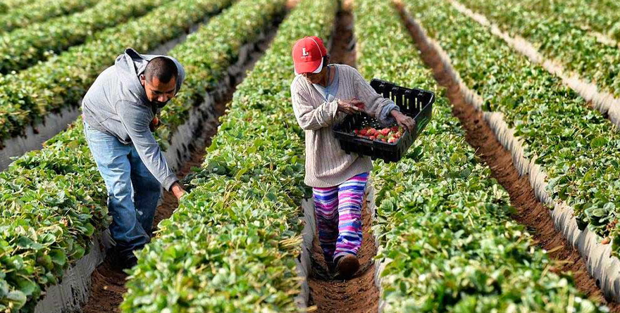 PROMETE EU HACER VALER LOS ACUERDOS COMERCIALES CON MÉXICO