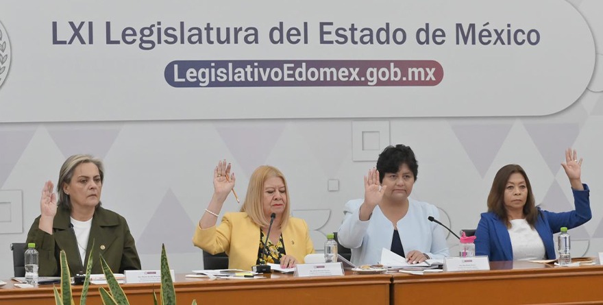 RECOGE CONGRESO LINEAMIENTOS DE LA SCJN PARA LEY EN DISCAPACIDAD