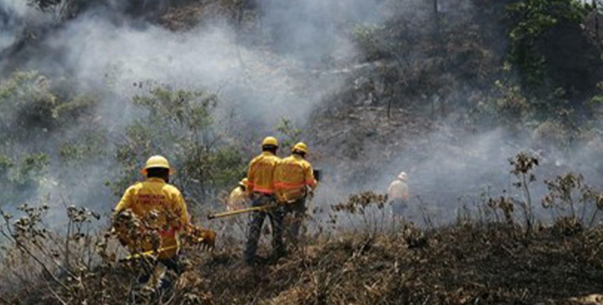 130 INCENDIOS ACTIVOS EN EL TERRITORIO NACIONAL